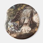 Kanadas Lynx (Lynx Canadensis) Illustration Magnet (Vorne)