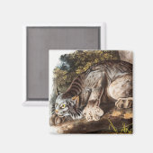 Kanadas Lynx (Lynx Canadensis) Illustration Magnet (Vorderseite/Rückseite)