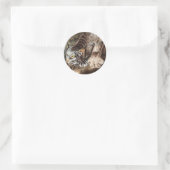 Kanadas Lynx (Lynx Canadensis) Illustration Runder Aufkleber (Tasche)