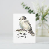 Kanadas National Bird Gray Jay, Whiskey Jack Postkarte (Stehend Vorderseite)