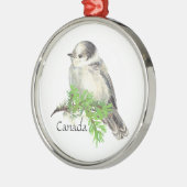 Kanadas National Bird Gray Jay, Whiskey Jack Silbernes Ornament (Links)