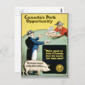Kanadas Schweinechancen Postkarte (Vorne/Hinten)