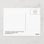 Kanadas weiße Minderheit, die seltene weiße, rabe  Postkarte (Rückseite)