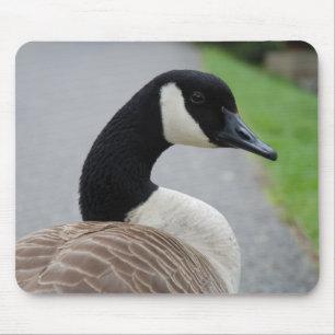 Kanadengas Mousepad