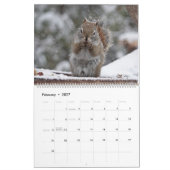 Kanadier datiert 2024, Groß, Mr. Bickles Mauer Kalender (Feb 2027)