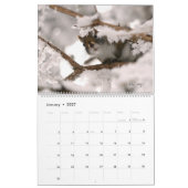 Kanadier datiert 2024, Groß, Mr. Bickles Mauer Kalender (Jan 2027)