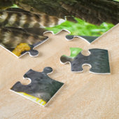 Kanadische Adler. Puzzle (Seite)