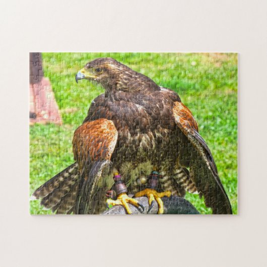 Kanadische Adler. Puzzle (Horizontal)