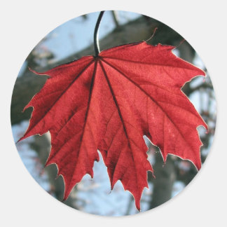 Kanadische Ahornleaf-Rundkleber Runder Aufkleber