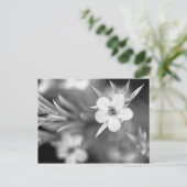Kanadische Blume Postkarte (Stehend Vorderseite)
