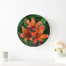 Kanadische Blumenfotografie, Orange Day Lily