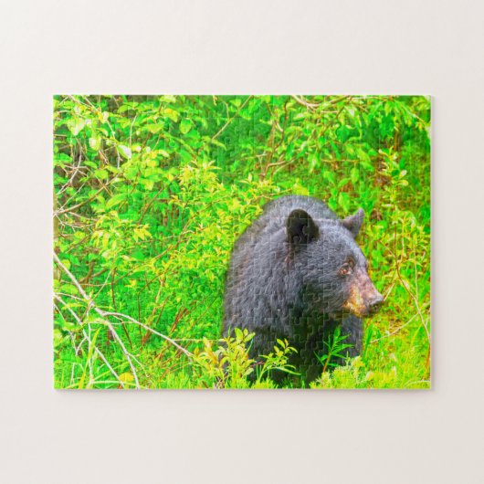 Kanadische Braunbären. Puzzle (Horizontal)