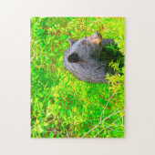 Kanadische Braunbären. Puzzle (Vertikal)