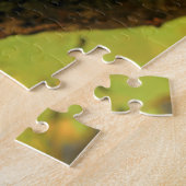 Kanadische Eichhörnchen. Puzzle (Seite)