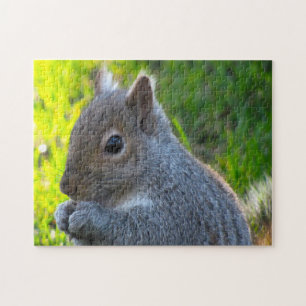 Kanadische Eichhörnchen Puzzle