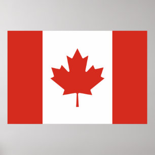 Kanadische Flagge (Ahornleaf) (Kanada) Poster