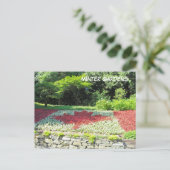 Kanadische Flagge - Blume Postkarte (Stehend Vorderseite)