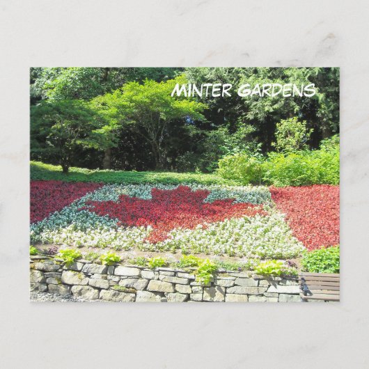 Kanadische Flagge - Blume Postkarte (Vorderseite)