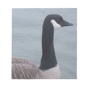 Kanadische Gans am See Notizblock