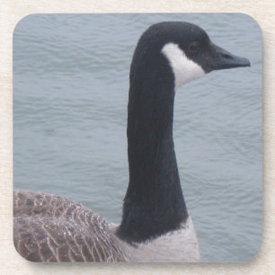 Kanadische Gans am See Untersetzer