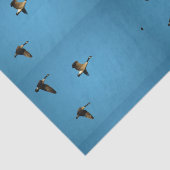 Kanadische Gans auf dem Flug Seidenpapier (Detail)