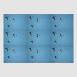 Kanadische Gans auf dem Flug Seidenpapier