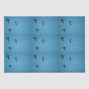 Kanadische Gans auf dem Flug Seidenpapier
