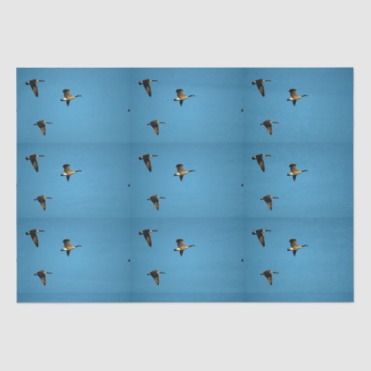 Kanadische Gans auf dem Flug Seidenpapier (Vorderseite)