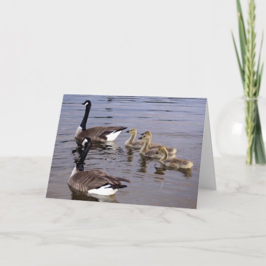 Kanadische Gans-Familie Karte (Vorderseite)