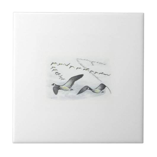 Kanadische Gans-Fliese Fliese (Vorderseite)