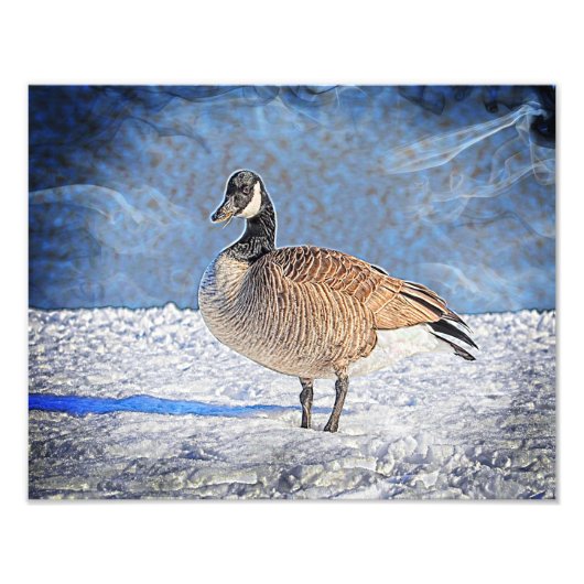 Kanadische Gans im Schnee Fotodruck (Vorne)