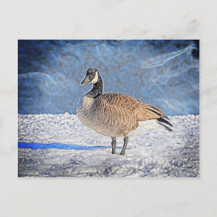 Kanadische Gans im Schnee Postkarte
