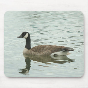 Kanadische Gans Mousepad