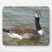 Kanadische Gans Mousepad (Vorne)