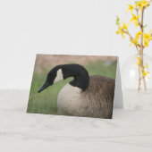 "Kanadische Gans-" Tier-Gruß-Karte Karte (Gelbe Blume)