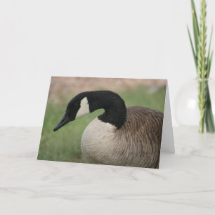 "Kanadische Gans-" Tier-Gruß-Karte Karte
