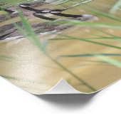 Kanadische Gänse Abgeschiedener Marsch 10x8 Natur Fotodruck (Ecke)