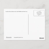 Kanadische Gänse am Bibersee. -Postkarte Postkarte (Rückseite)