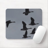 Kanadische Gänse B46 im Flug Mousepad (Mit Mouse)