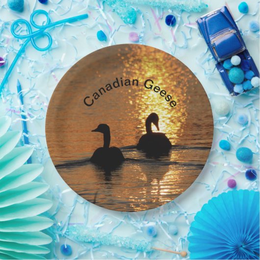 Kanadische Gänse bei Sunset Paper Plate Pappteller (Party)