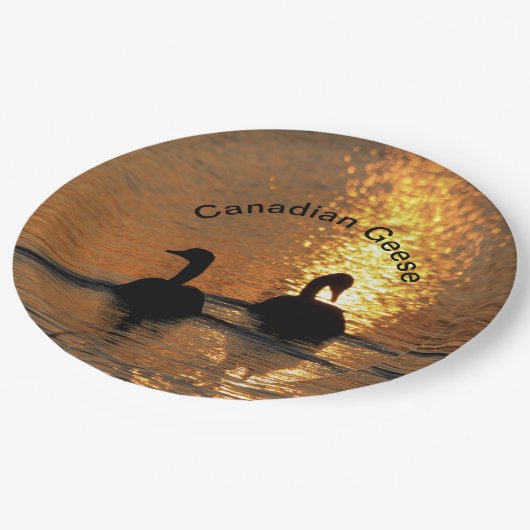 Kanadische Gänse bei Sunset Paper Plate Pappteller (Schrägansicht)