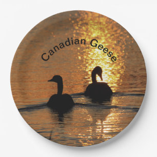 Kanadische Gänse bei Sunset Paper Plate Pappteller