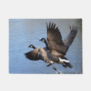 Kanadische Gänse, die Flug nehmen Fußmatte