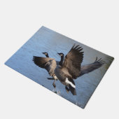 Kanadische Gänse, die Flug nehmen Fußmatte (Schrägansicht)