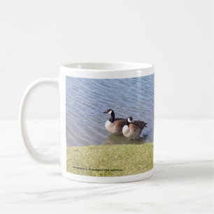 Kanadische Gänse entlang dem Ottawa-Fluss Kaffeetasse