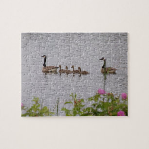 Kanadische Gänse Familie Baden Jigsaw Puzzle
