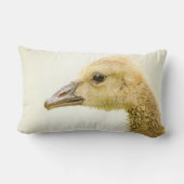 Kanadische Gänse (Gänse) Lendenkissen (Rückseite)