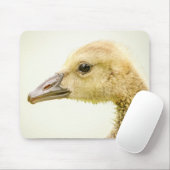 Kanadische Gänse (Gänse) Mousepad (Mit Mouse)