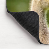 Kanadische Gänse (Gänse) Mousepad (Ecke)