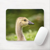 Kanadische Gänse (Gänse) Mousepad (Mit Mouse)